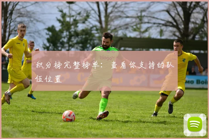 积分榜完整榜单：查看你支持的队伍位置